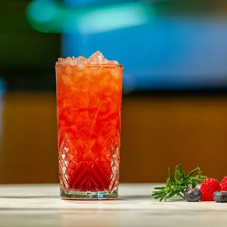 Sheraton Paris Charles De Gaulle Airport Hotel