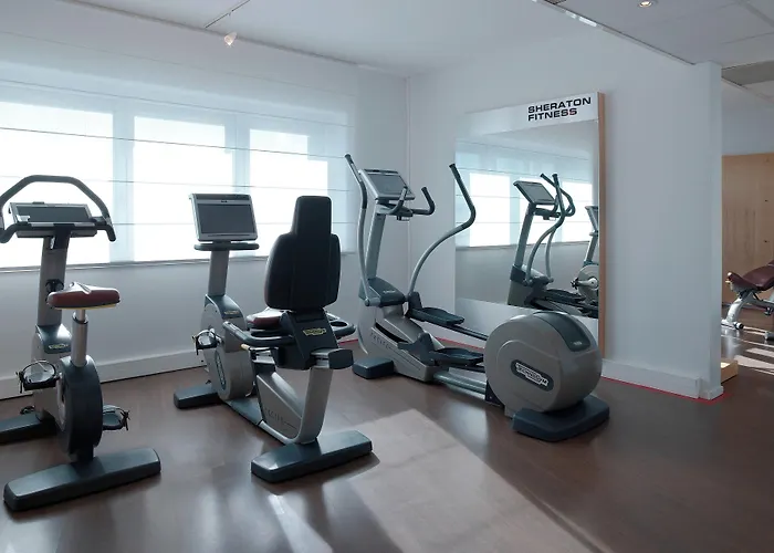 Sheraton Paris Charles De Gaulle Airport Hotel 4*